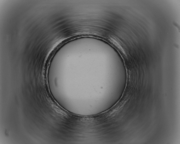 X0000091661068200709131505