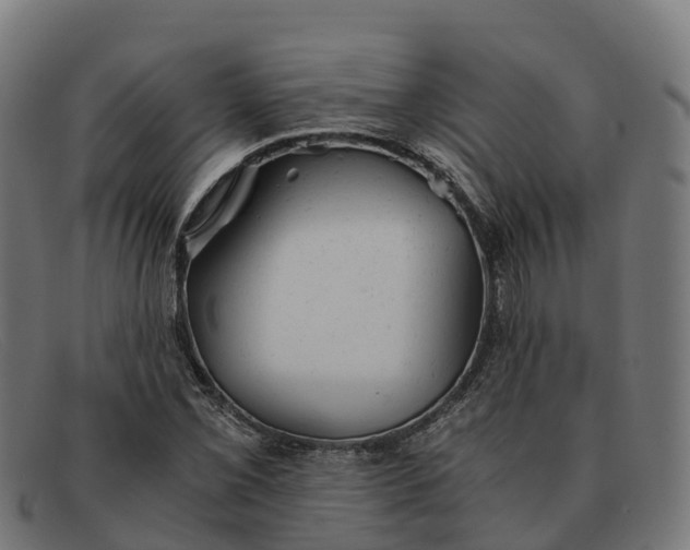 X0000091661069200709131505