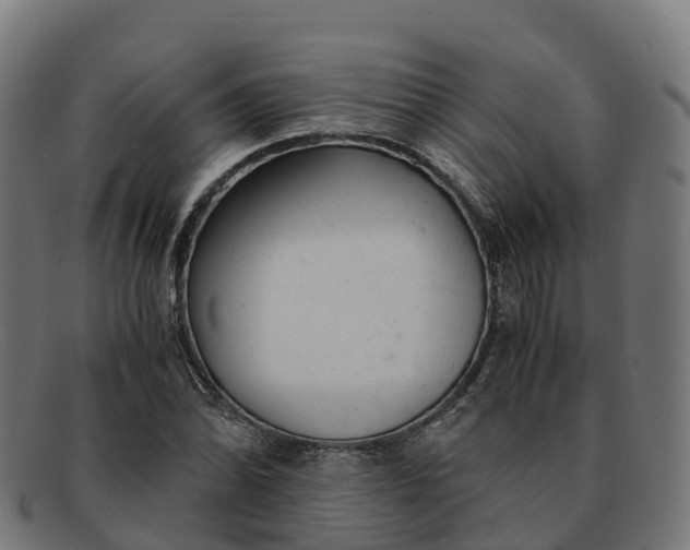 X0000091661070200709131505