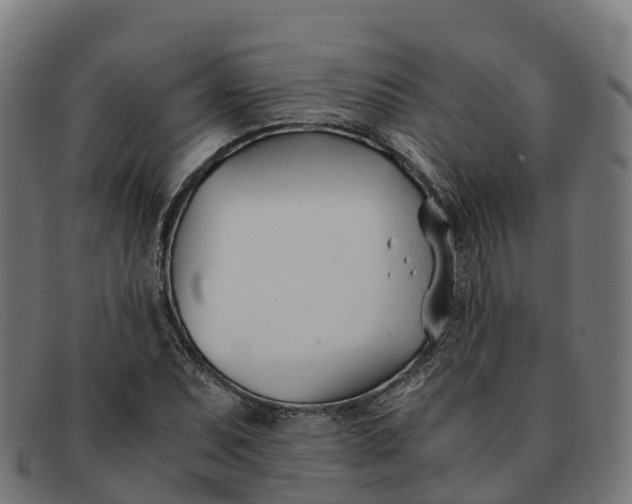 X0000091661071200709131505