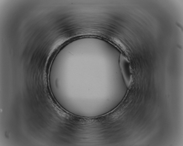 X0000091661072200709131505