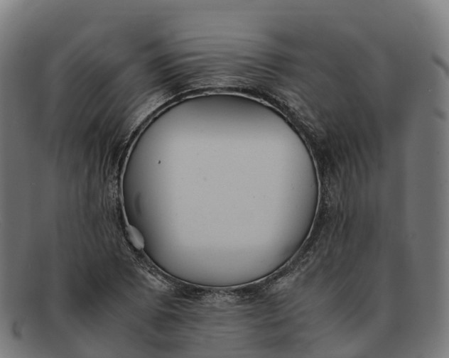 X0000091661073200709131505