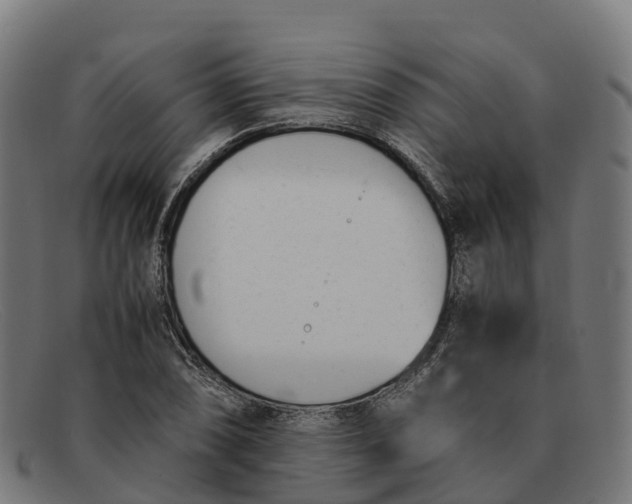 X0000091661074200709131505