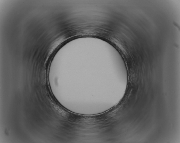 X0000091661075200709131505