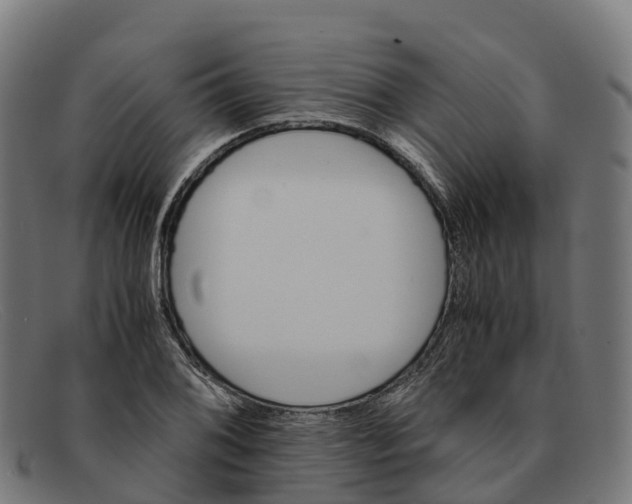 X0000091661076200709131505