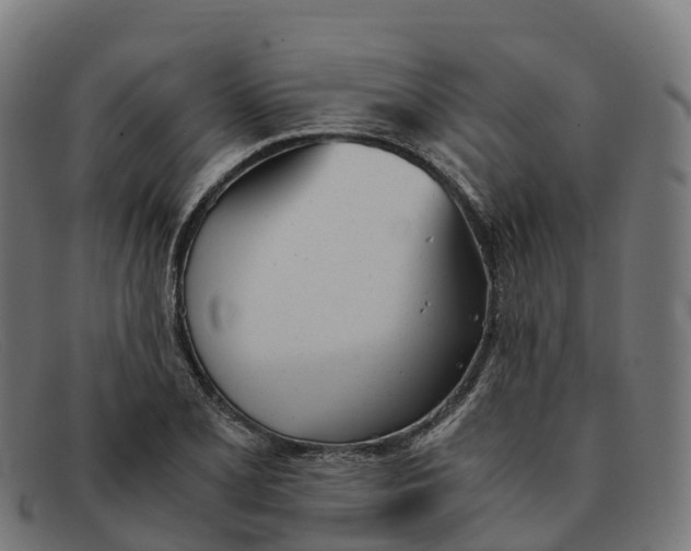 X0000091661077200709131505