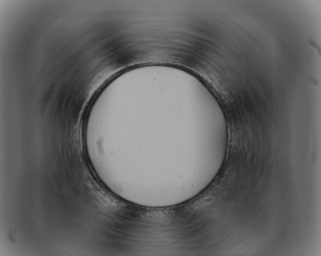 X0000091661078200709131505