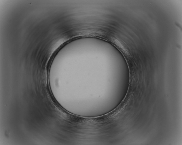 X0000091661079200709131505