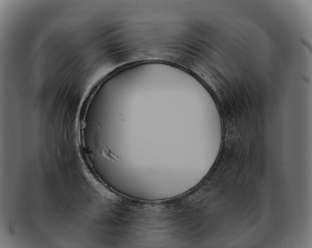 X0000091661080200709131505