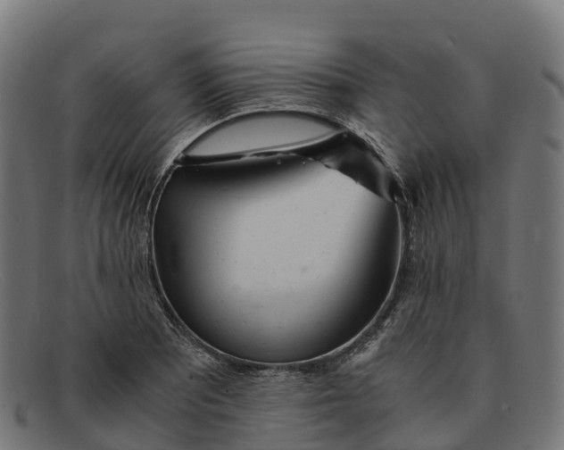 X0000091661081200709131505