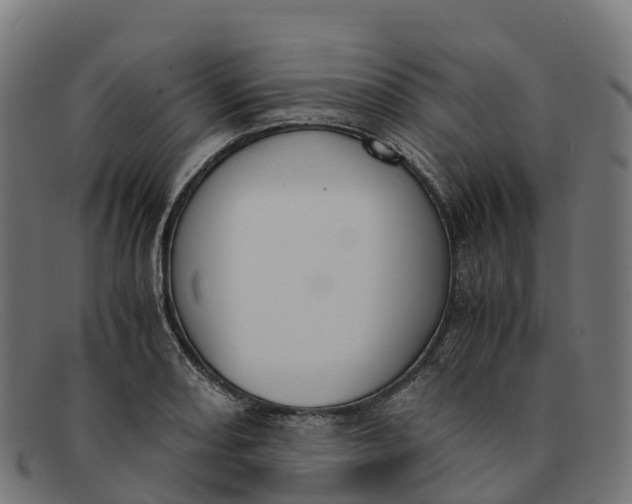 X0000091661082200709131505