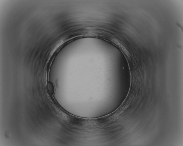 X0000091661083200709131505