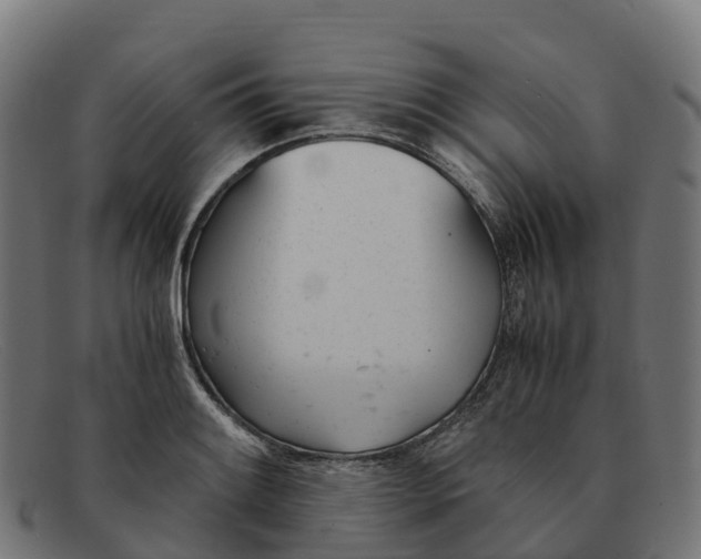 X0000091661084200709131505