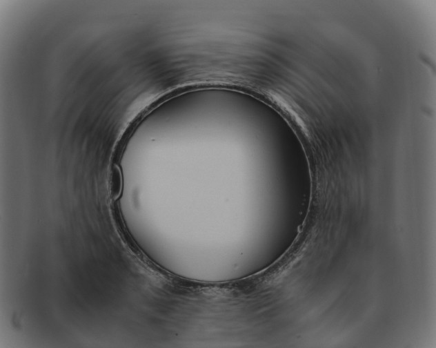 X0000091661085200709131505