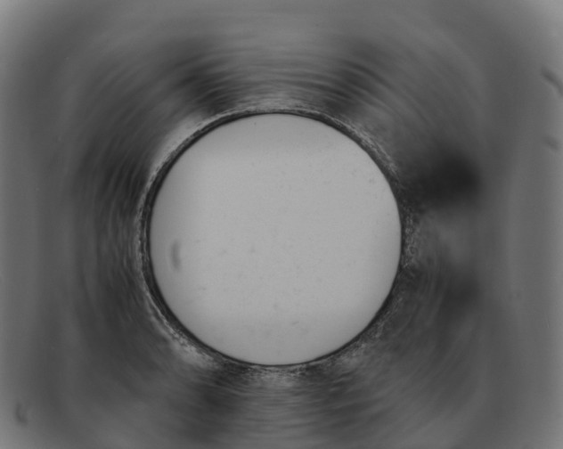 X0000091661086200709131505