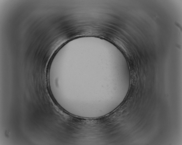 X0000091661087200709131505