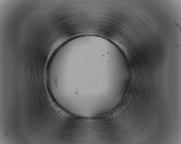 X0000091661088200709131505