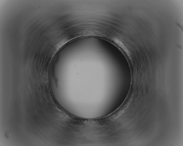 X0000091661089200709131505