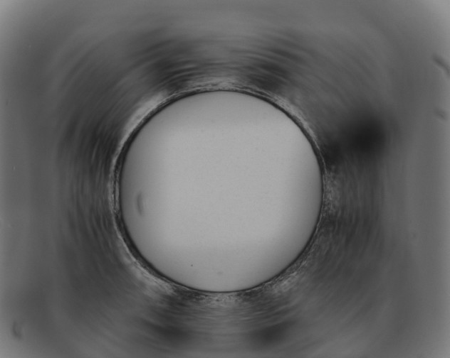 X0000091661090200709131505