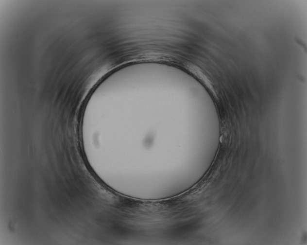 X0000091661091200709131505