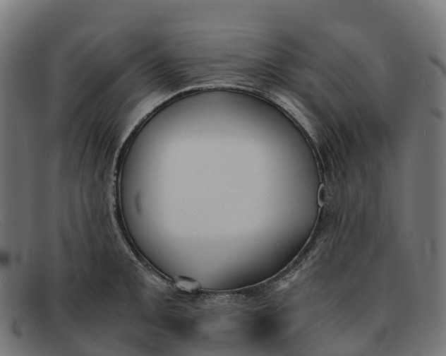 X0000091661093200709131505