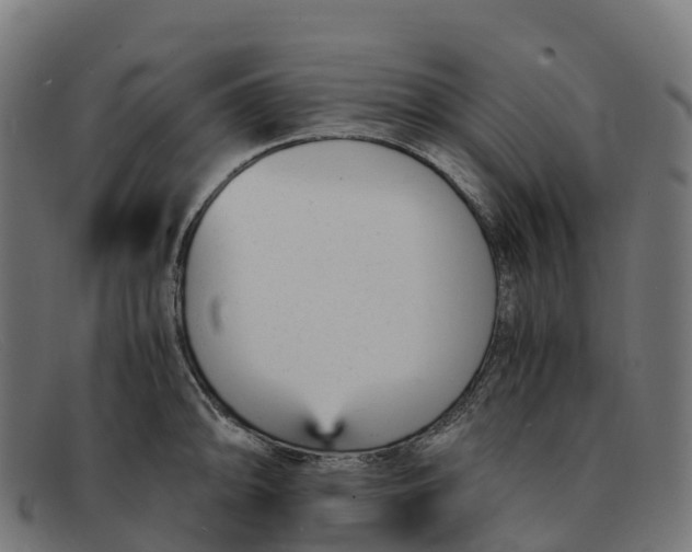 X0000091661094200709131505