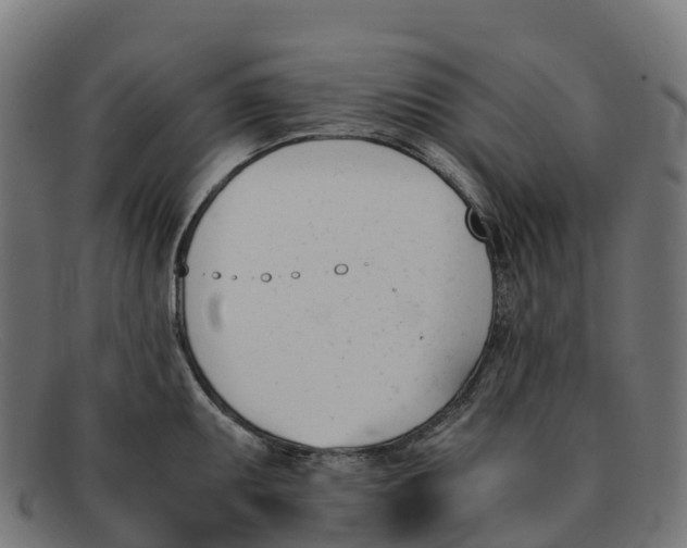 X0000091661095200709131505