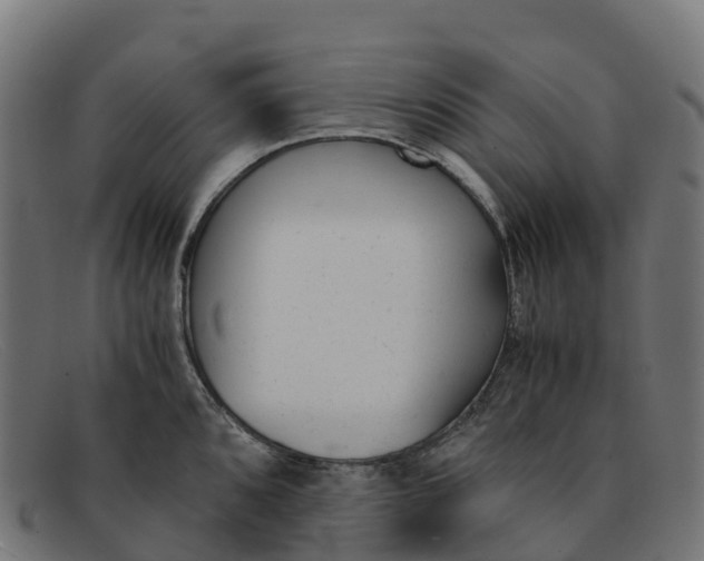 X0000091661096200709131505