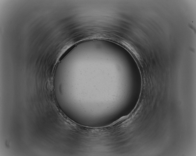 X0000091661097200709131505