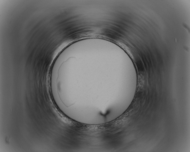 X0000091661098200709131505