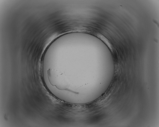 X0000091661099200709131505