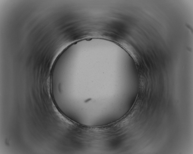 X0000091661100200709131505