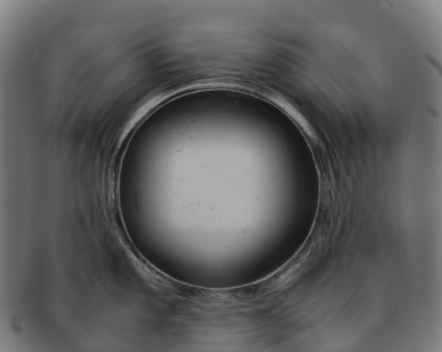 X0000091661101200709131505