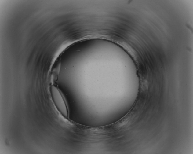 X0000091661102200709131505