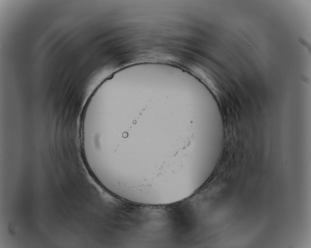 X0000091661103200709131505