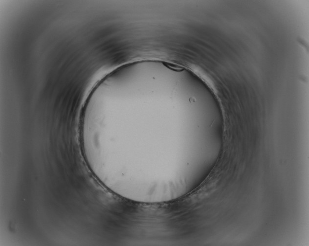 X0000091661104200709131505