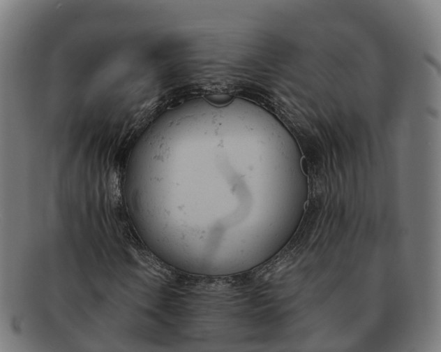 X0000091661106200709131504