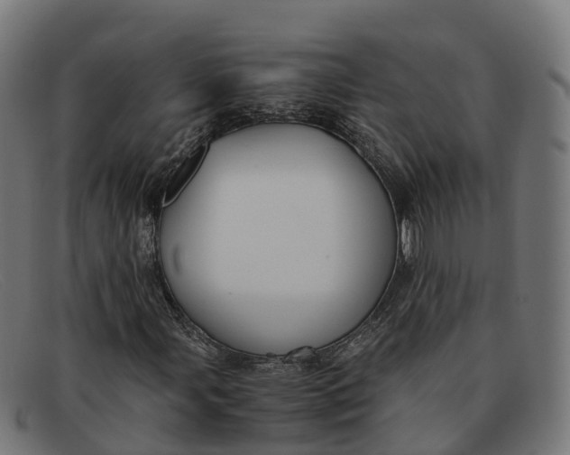 X0000091661107200709131505