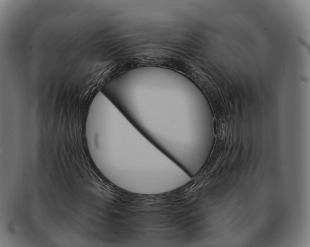 X0000091661108200709131505