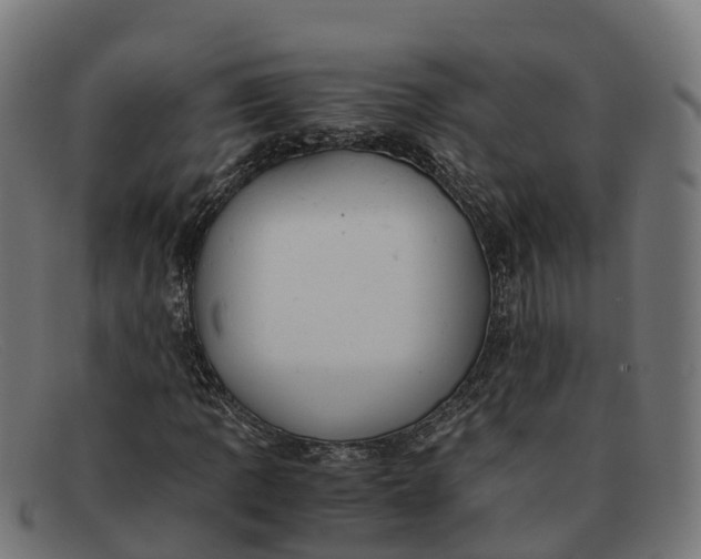 X0000091661109200709131505