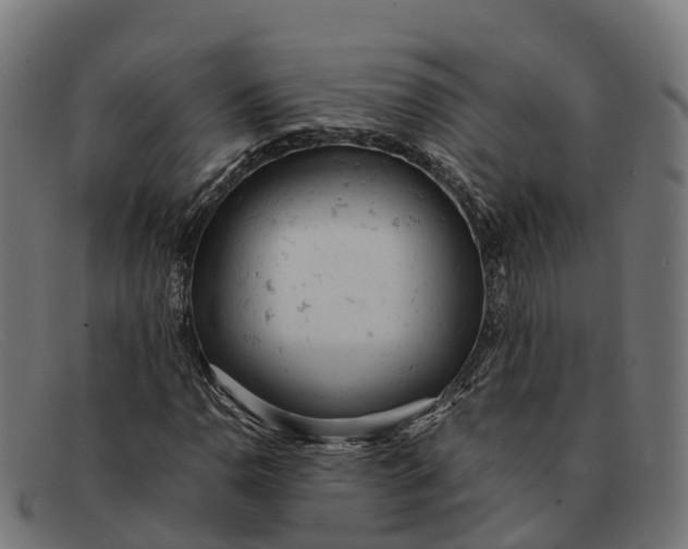 X0000091661110200709131505