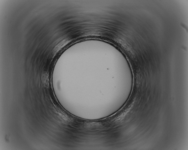 X0000091661113200709131505