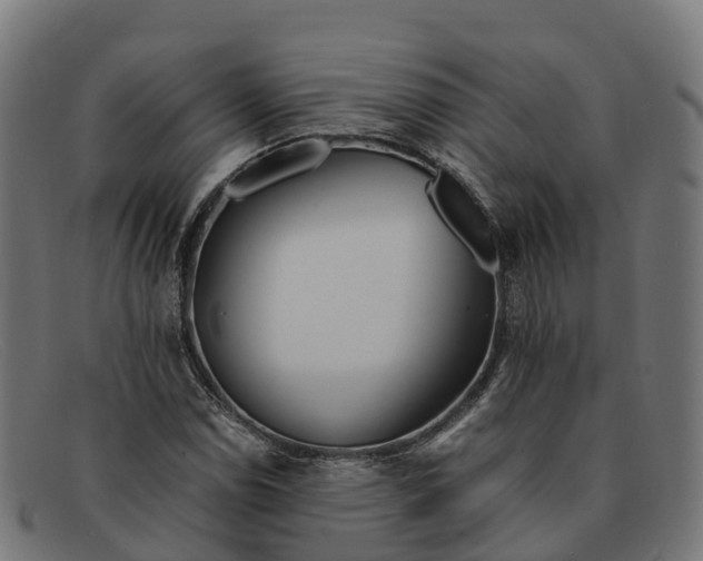 X0000091661114200709131505