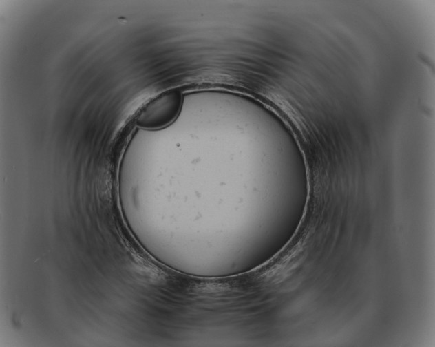 X0000091661115200709131505