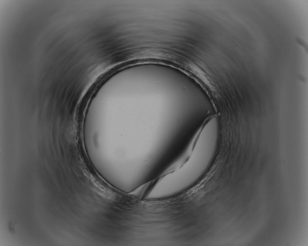 X0000091661116200709131505