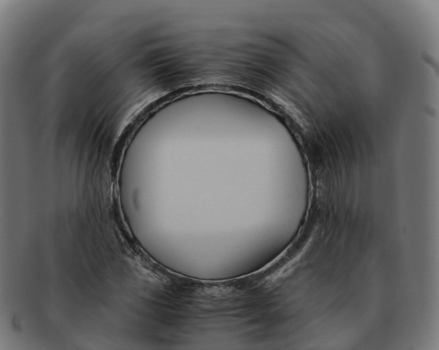 X0000091661117200709131505