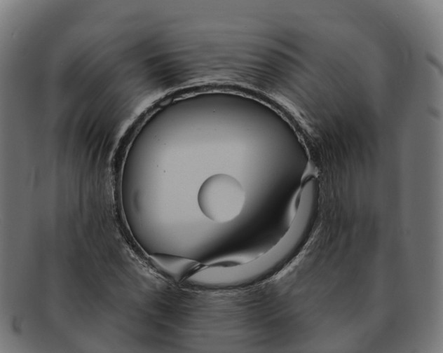 X0000091661118200709131505