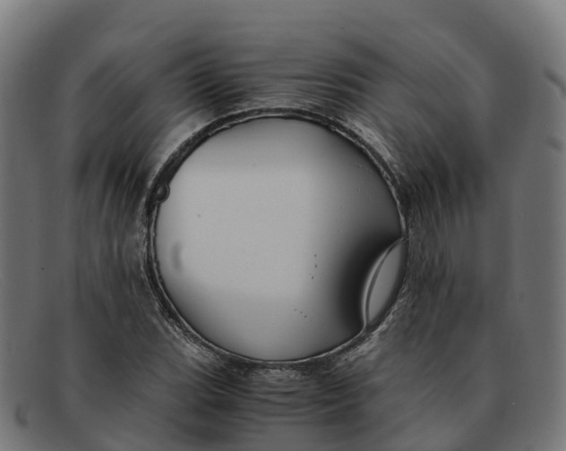 X0000091661119200709131505