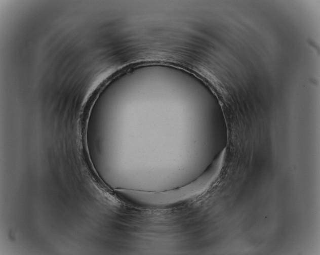 X0000091661120200709131505