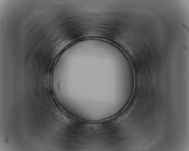 X0000091661121200709131505